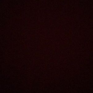 Meet your Posher, Ally